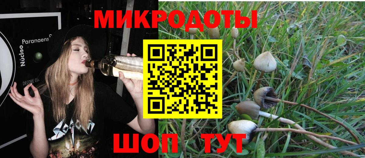 Елабуга  Псилоцибиновые грибы MAGIC MUSHROOMS  Вход с VPN 